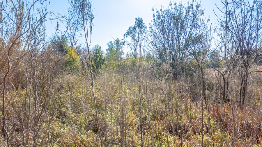 Commercial Property for Sale in Mont Lorraine Ah Gauteng