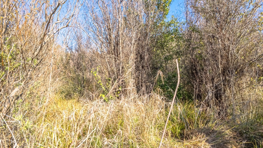 Commercial Property for Sale in Mont Lorraine Ah Gauteng