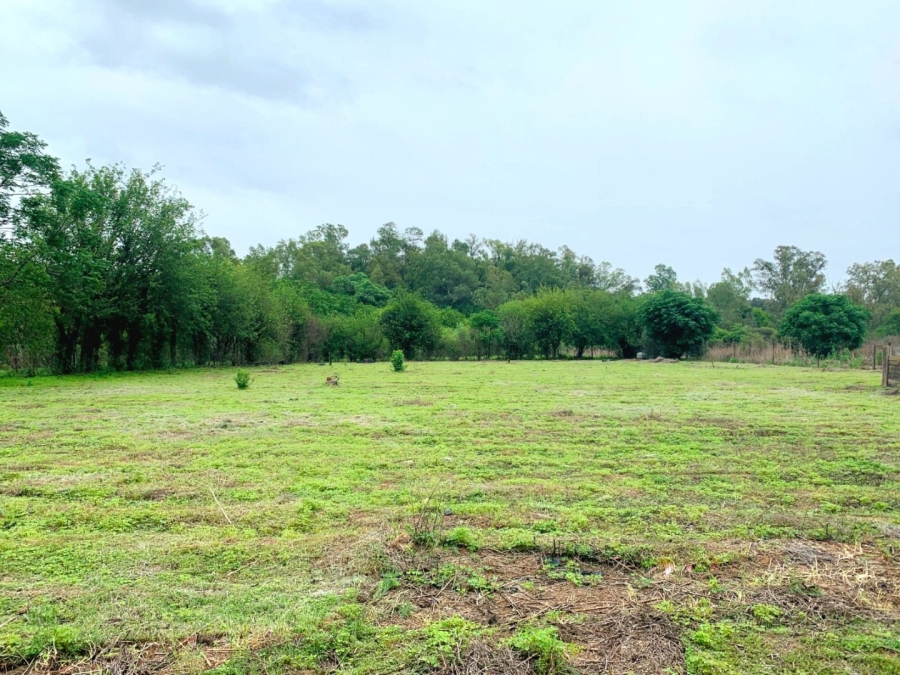 Commercial Property for Sale in Mont Lorraine Ah Gauteng