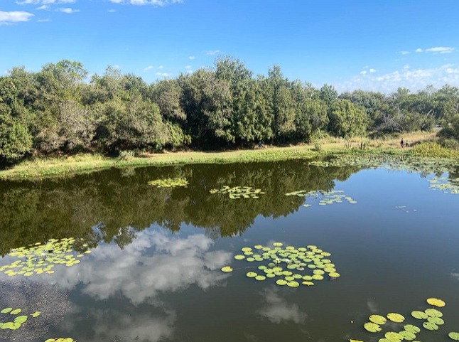 Commercial Property for Sale in Dinokeng Game Reserve Gauteng