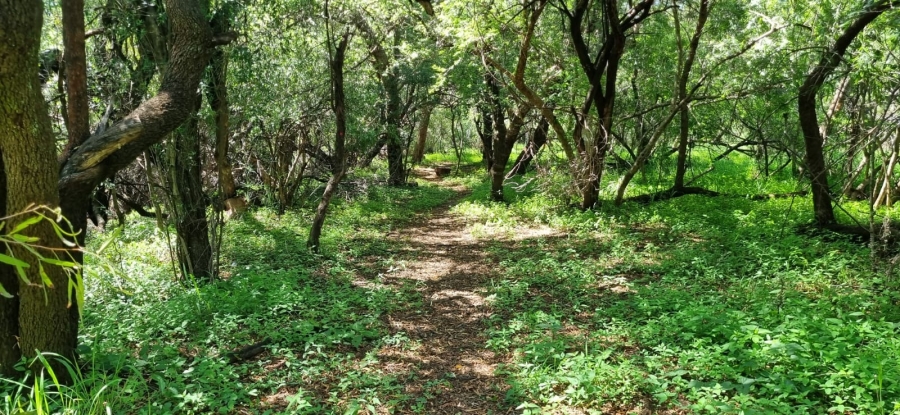 Commercial Property for Sale in Dinokeng Game Reserve Gauteng