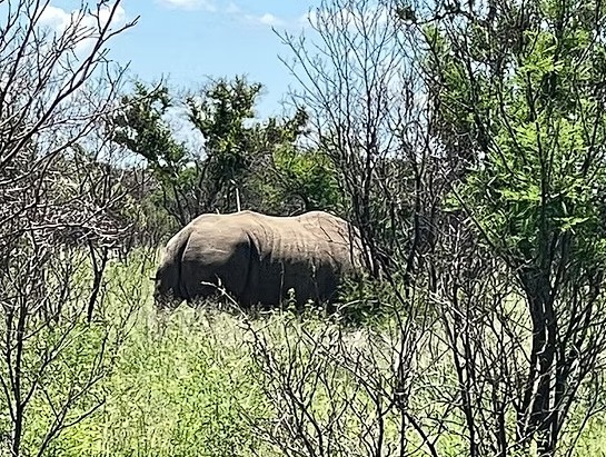 Commercial Property for Sale in Dinokeng Game Reserve Gauteng