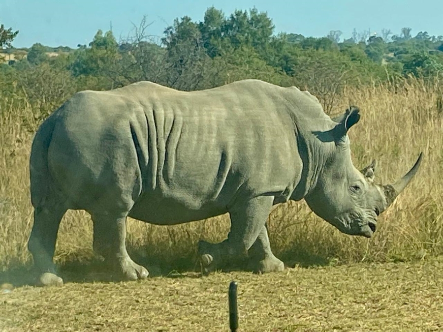 Commercial Property for Sale in Dinokeng Game Reserve Gauteng