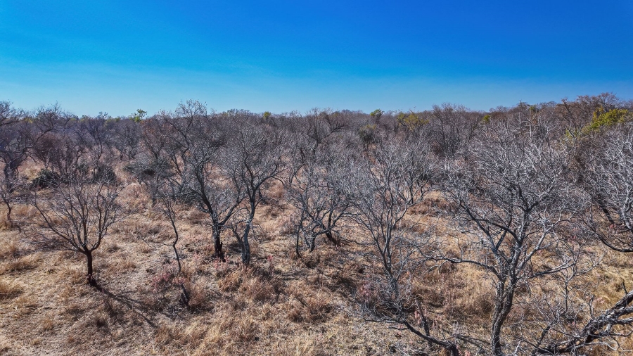 Commercial Property for Sale in Dinokeng Game Reserve Gauteng