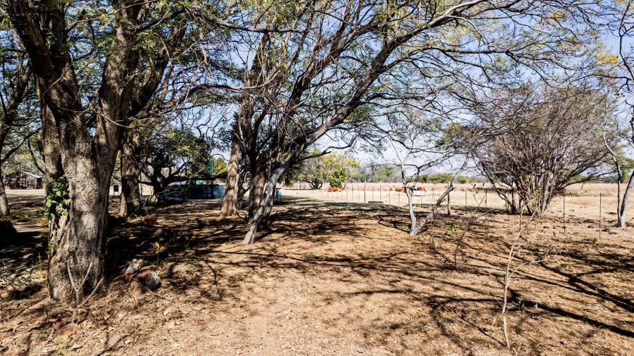 Commercial Property for Sale in Dinokeng Game Reserve Gauteng
