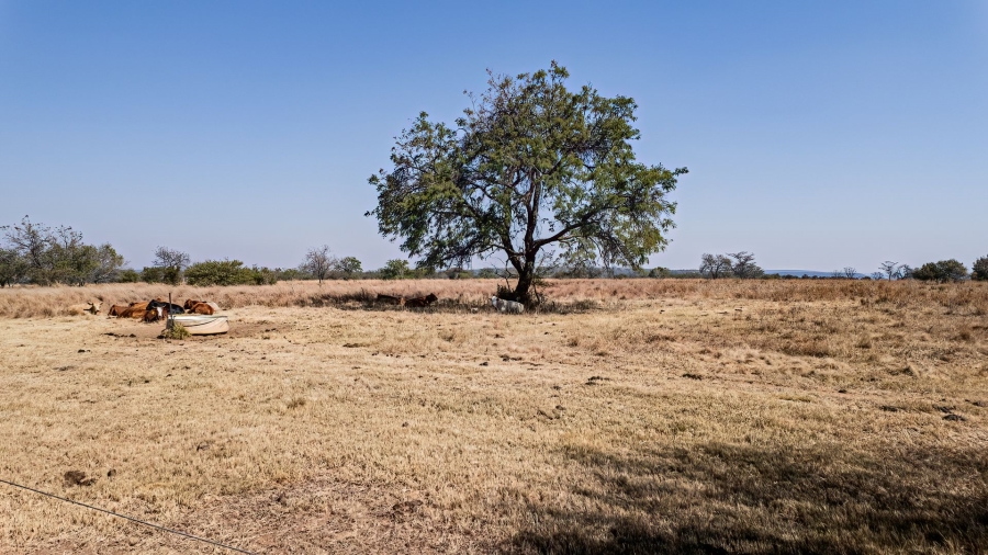 Commercial Property for Sale in Dinokeng Game Reserve Gauteng