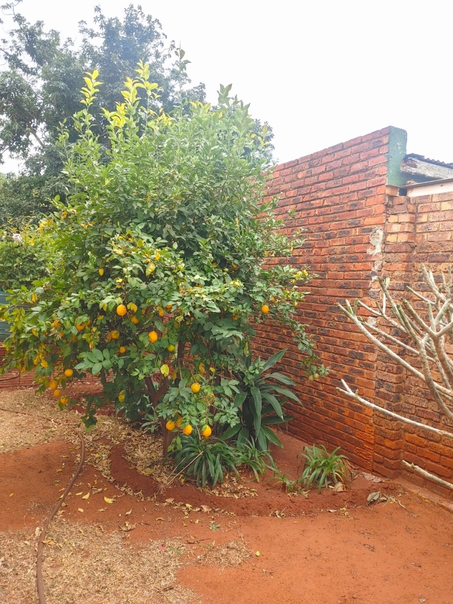 4 Bedroom Property for Sale in Annlin Gauteng