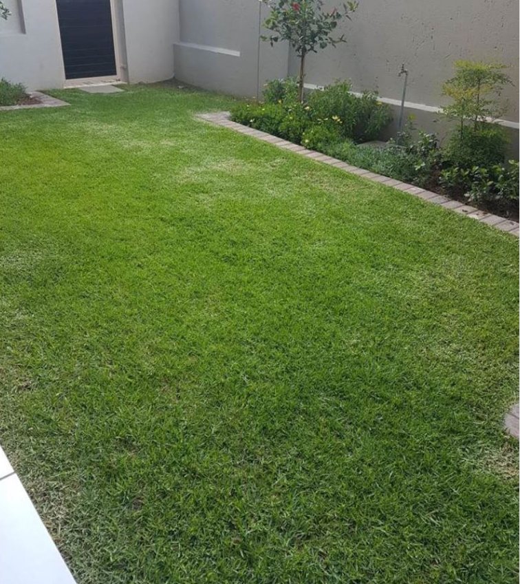 To Let 3 Bedroom Property for Rent in Lonehill Gauteng