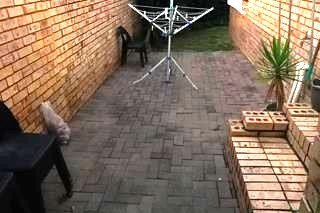 To Let 3 Bedroom Property for Rent in Suideroord Gauteng