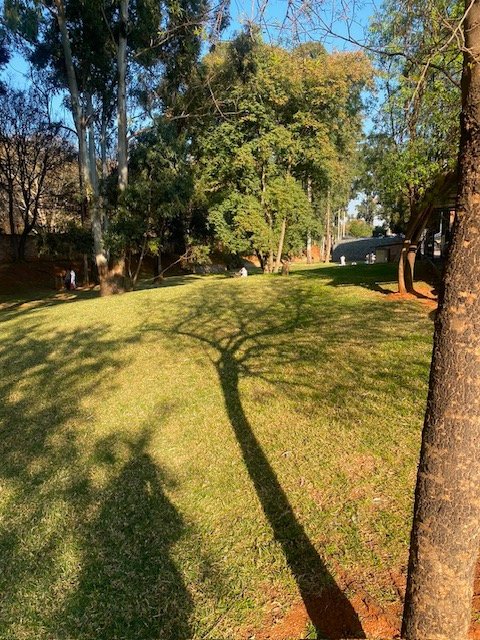 To Let 1 Bedroom Property for Rent in Braamfontein Gauteng