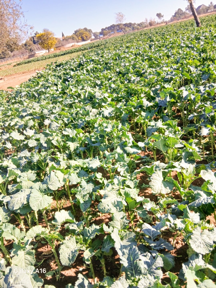 Commercial Property for Sale in Randfontein Rural Gauteng
