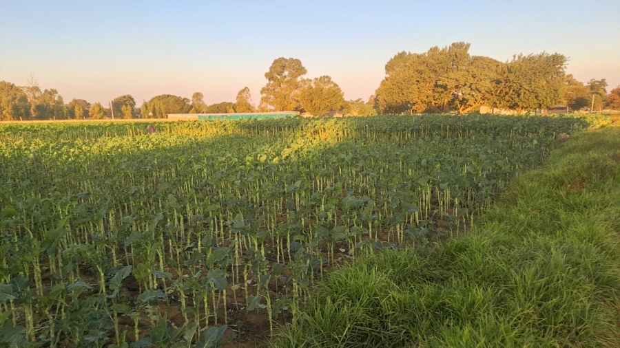 Commercial Property for Sale in Randfontein Rural Gauteng