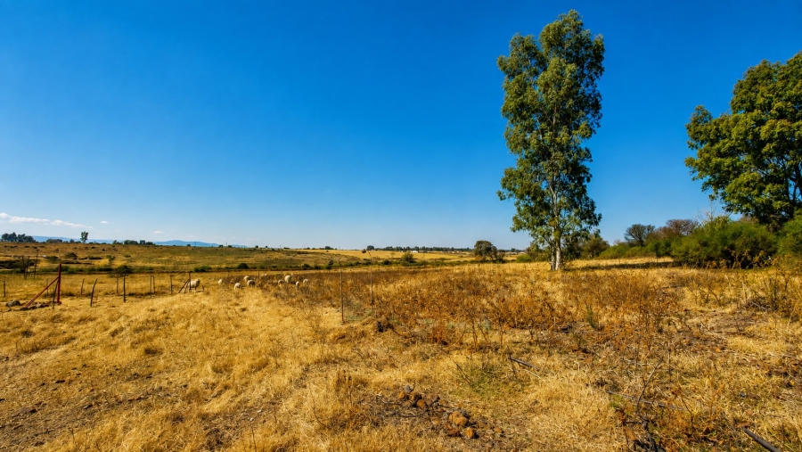 Commercial Property for Sale in Sherman Park Gauteng
