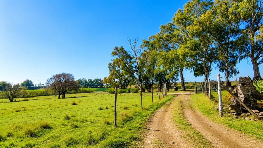 Commercial Property for Sale in Sherman Park Gauteng
