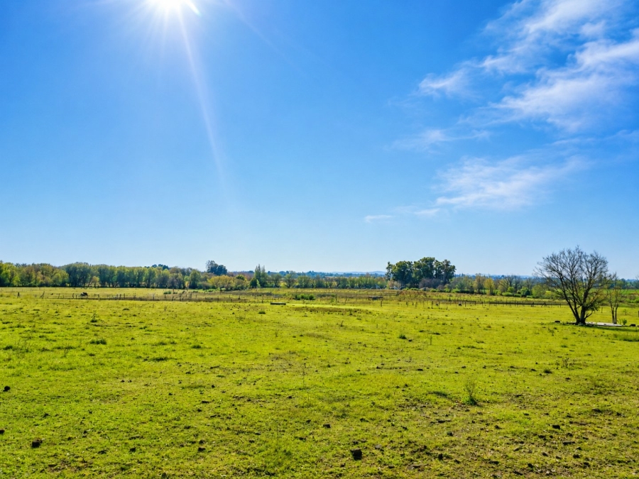 Commercial Property for Sale in Sherman Park Gauteng