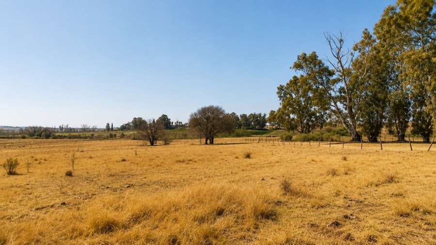 Commercial Property for Sale in Sherman Park Gauteng