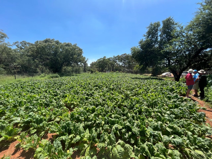 Commercial Property for Sale in Walker Fruit Farms Gauteng