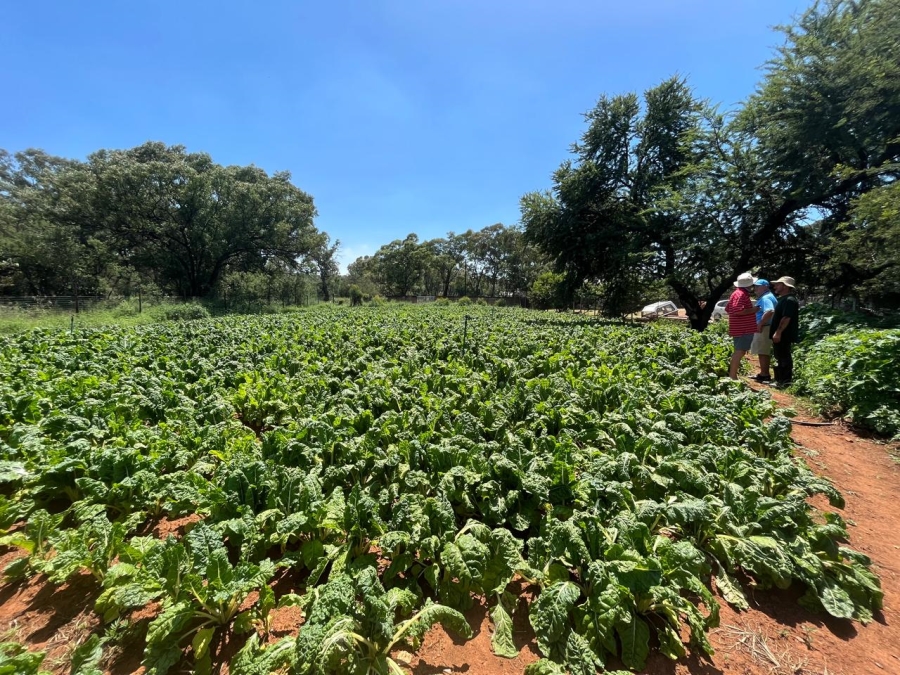 Commercial Property for Sale in Walker Fruit Farms Gauteng