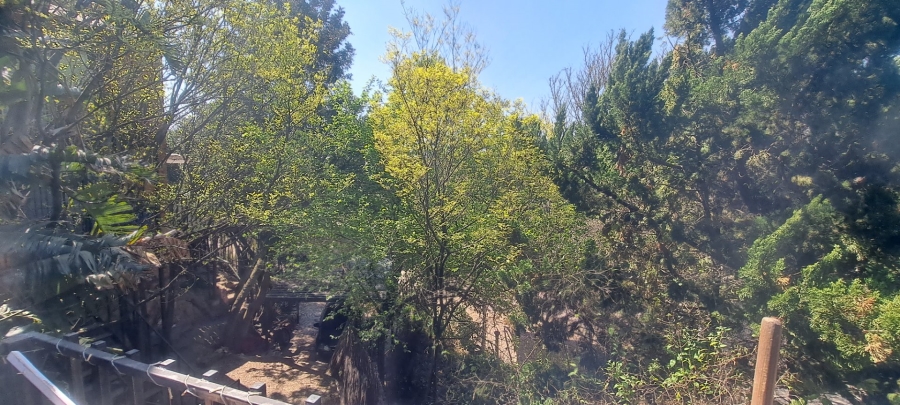 To Let 3 Bedroom Property for Rent in Solheim Gauteng