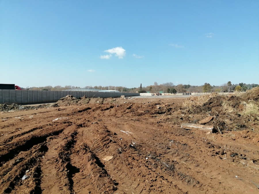 To Let Commercial Property for Rent in Pomona Gauteng
