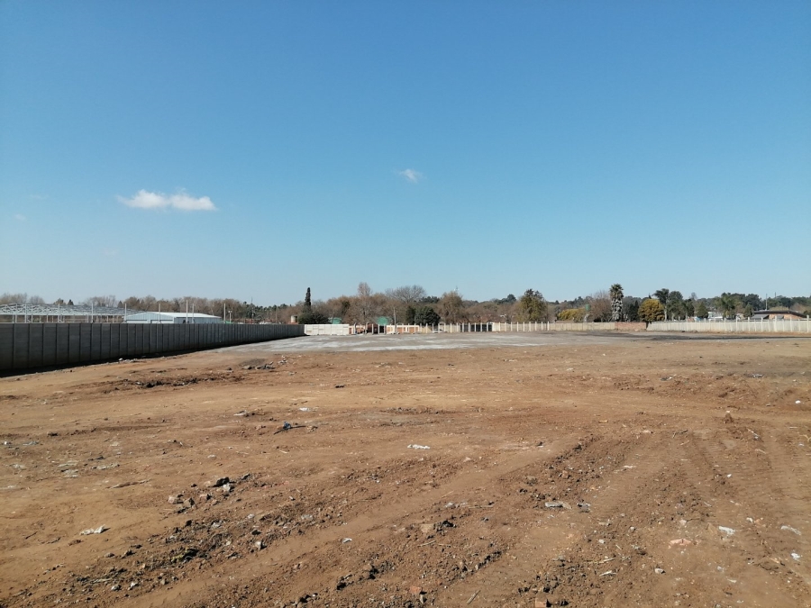 To Let Commercial Property for Rent in Pomona Gauteng