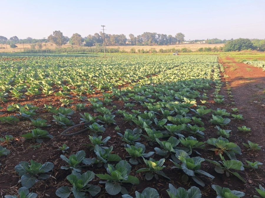 Commercial Property for Sale in Sherman Park Gauteng