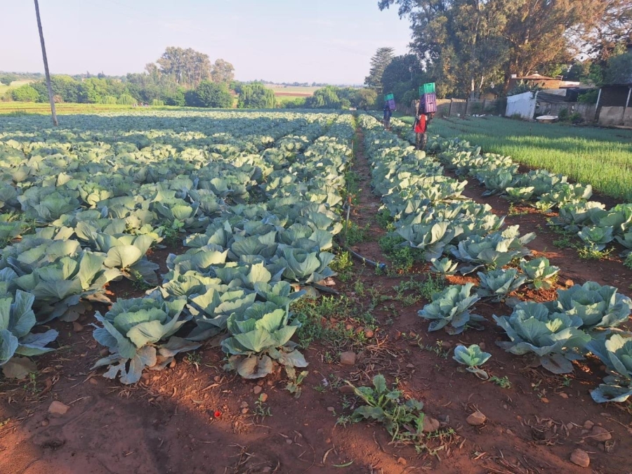 Commercial Property for Sale in Sherman Park Gauteng