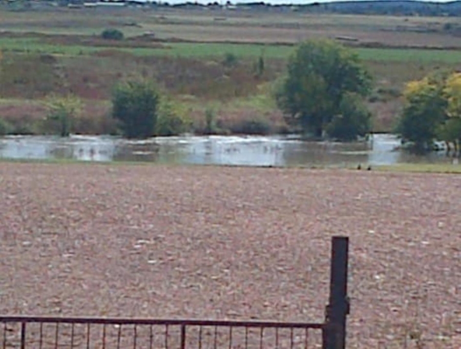 Commercial Property for Sale in Sherman Park Gauteng