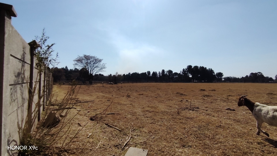 Commercial Property for Sale in Buyscelia Gauteng