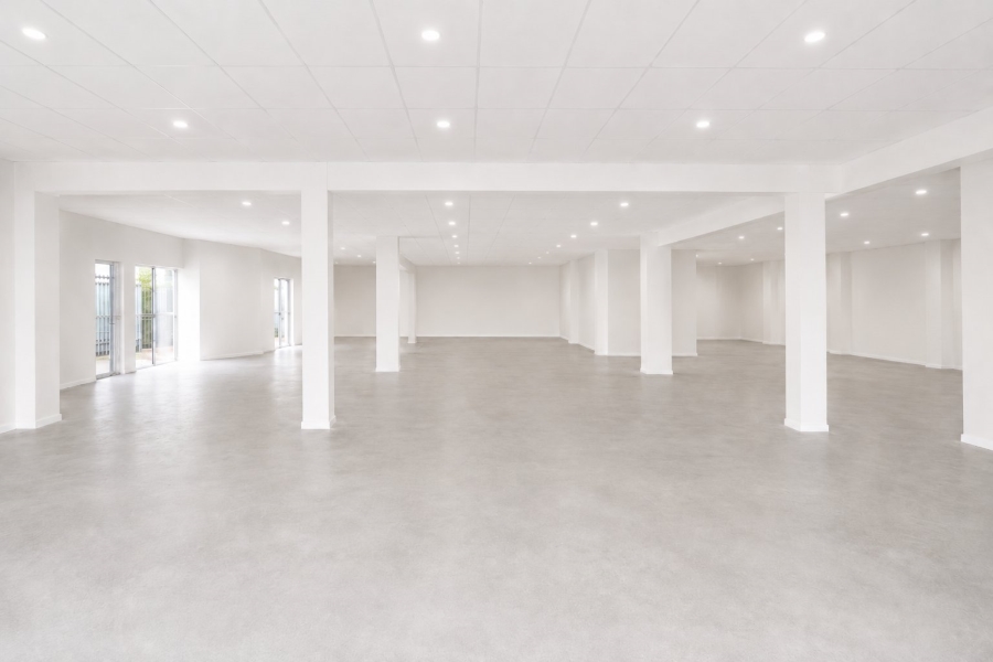 To Let Commercial Property for Rent in Primrose Gauteng