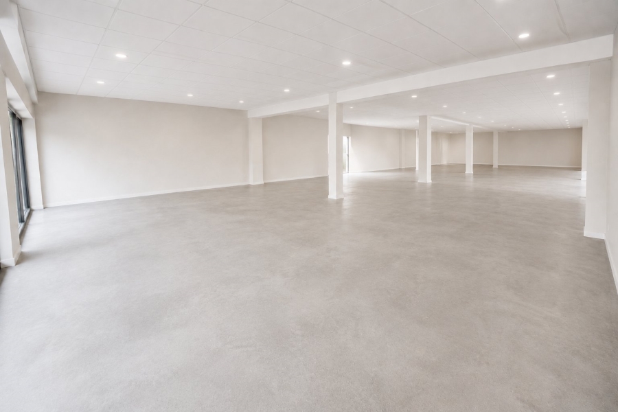 To Let Commercial Property for Rent in Primrose Gauteng