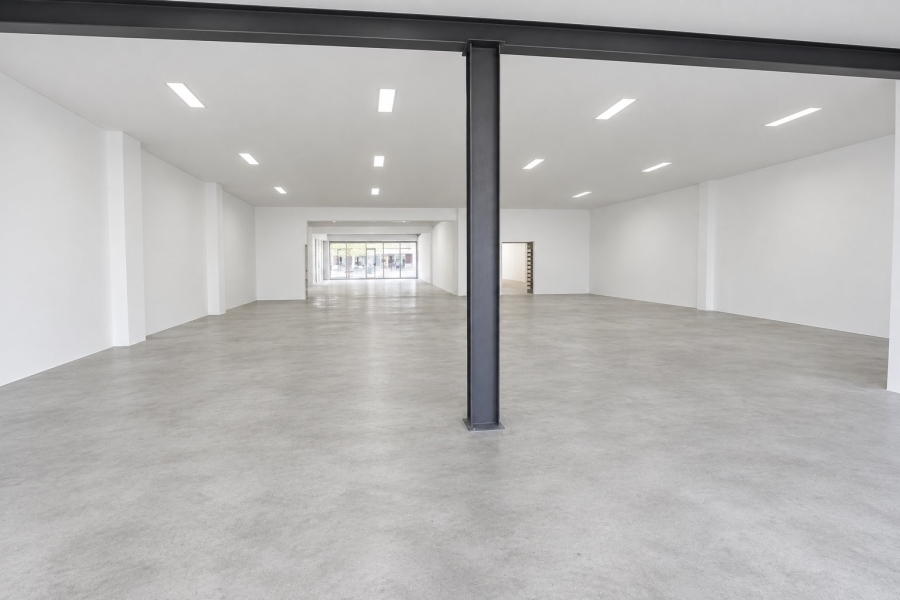 To Let Commercial Property for Rent in Primrose Gauteng