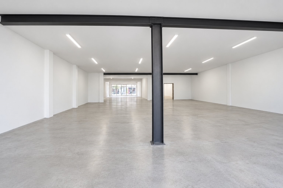 To Let Commercial Property for Rent in Primrose Gauteng