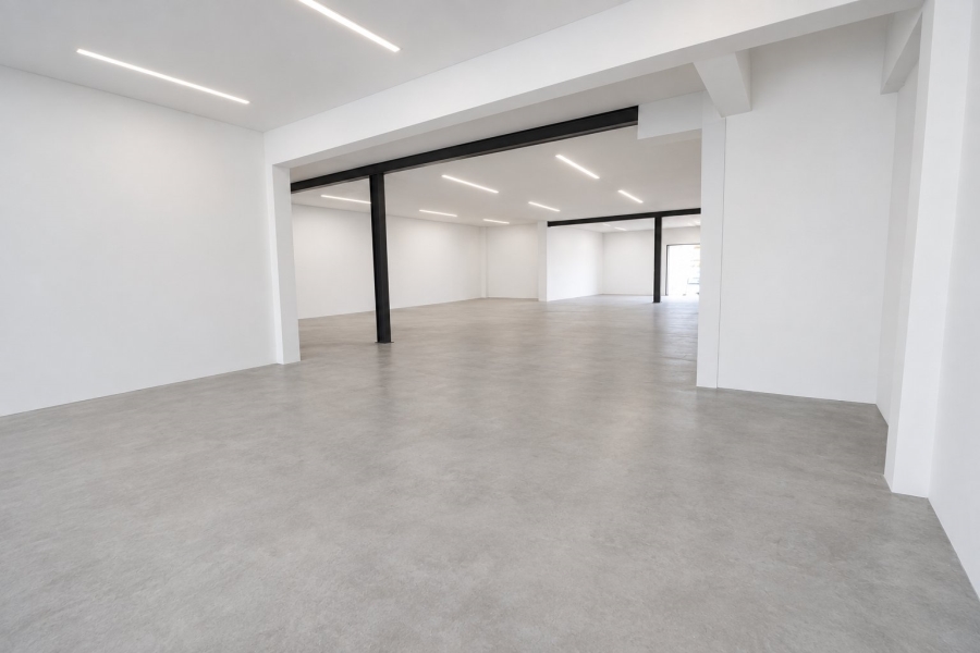 To Let Commercial Property for Rent in Primrose Gauteng