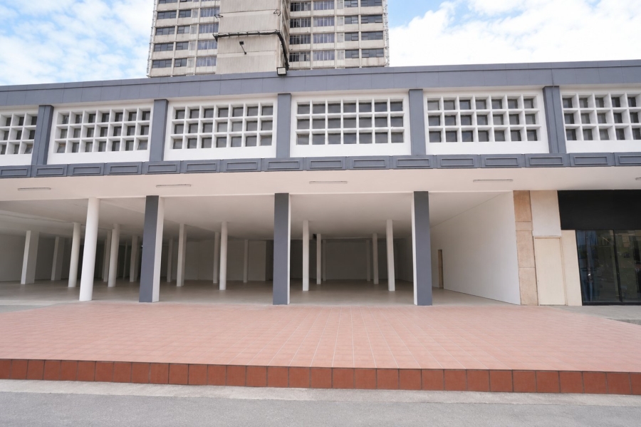 To Let Commercial Property for Rent in Dunvegan Gauteng