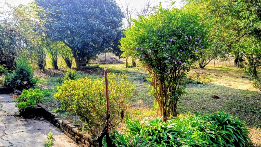 To Let 5 Bedroom Property for Rent in Reydal Gauteng
