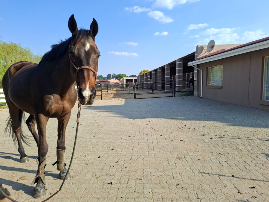 Commercial Property for Sale in Bredell Gauteng