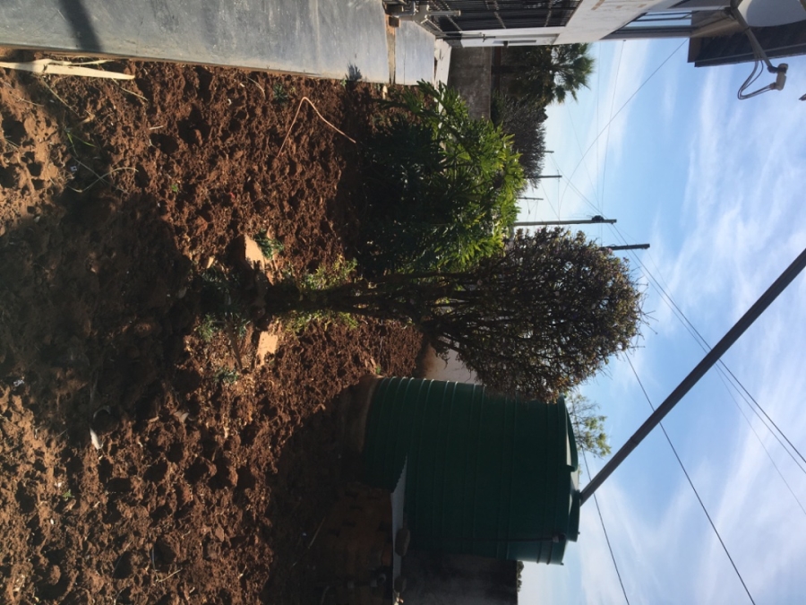 Commercial Property for Sale in Ga-Rankuwa Unit 1 Gauteng