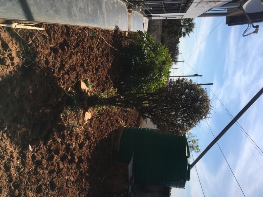 Commercial Property for Sale in Ga-Rankuwa Unit 1 Gauteng