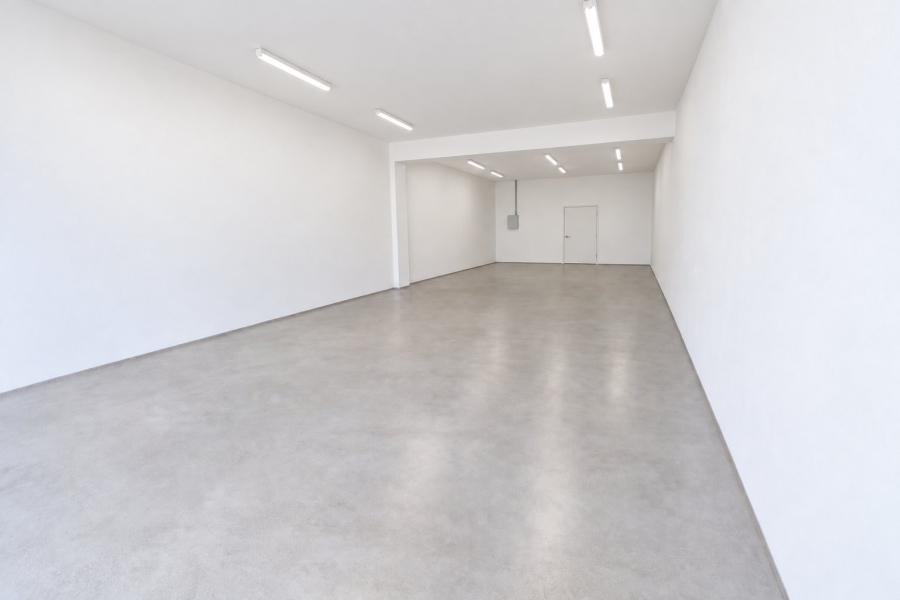 To Let Commercial Property for Rent in Primrose Gauteng