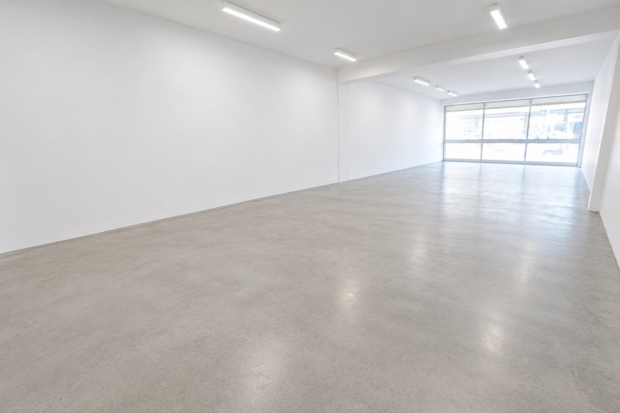 To Let Commercial Property for Rent in Primrose Gauteng