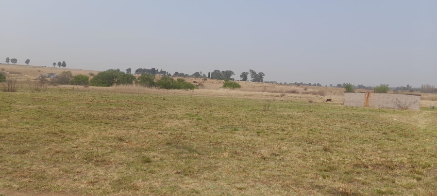 Commercial Property for Sale in Witkop Gauteng