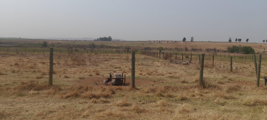 Commercial Property for Sale in Witkop Gauteng