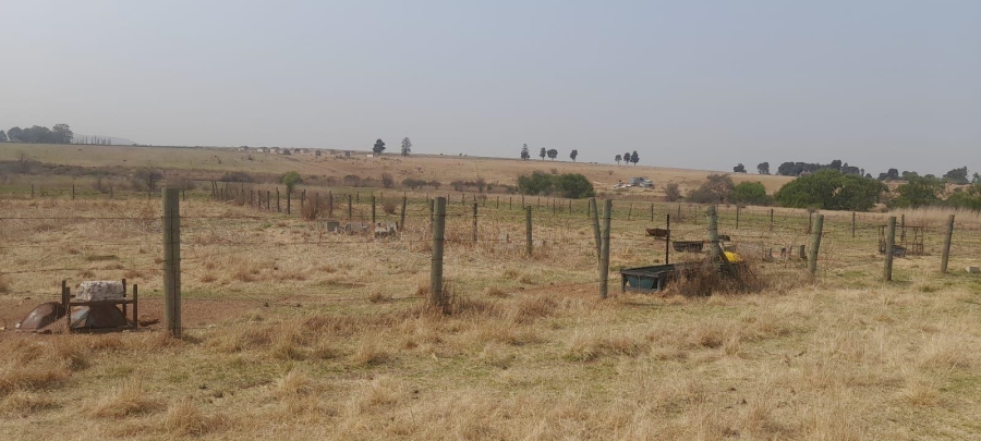 Commercial Property for Sale in Witkop Gauteng
