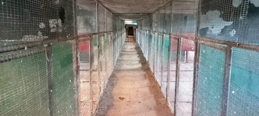 Commercial Property for Sale in Loumarina A H Gauteng