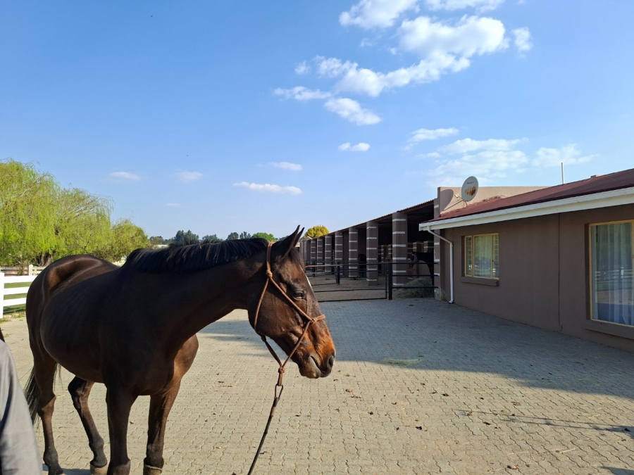 4 Bedroom Property for Sale in Bredell Gauteng