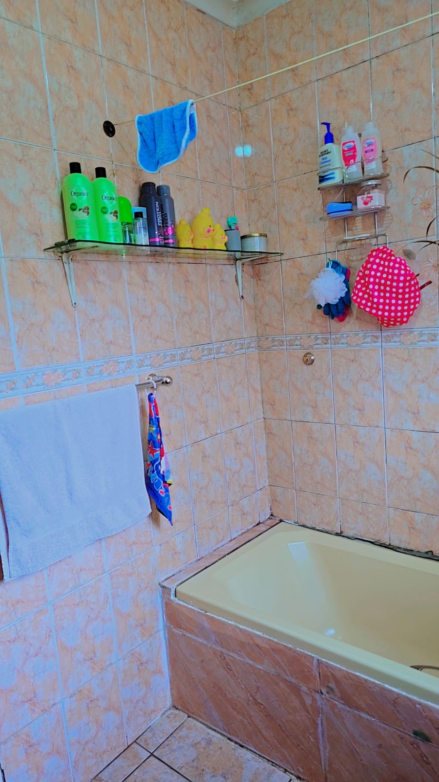 3 Bedroom Property for Sale in Lenasia Ext 11 Gauteng
