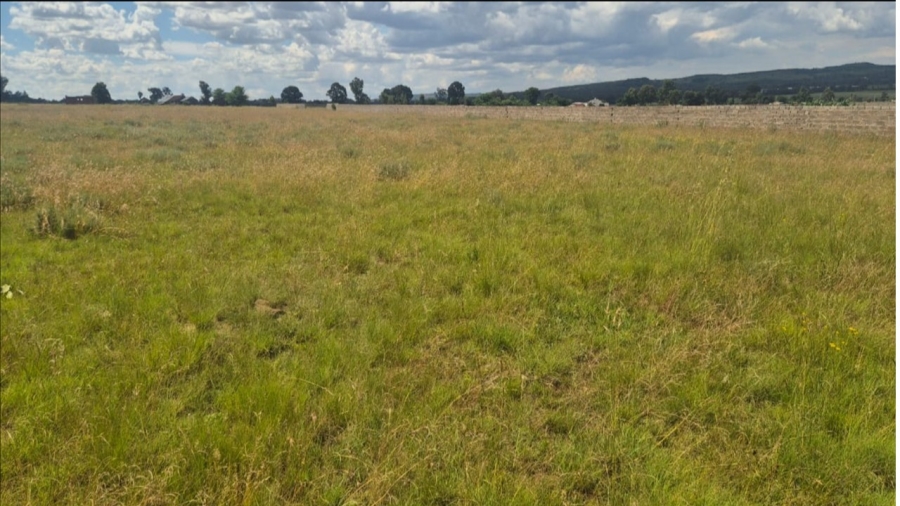 Commercial Property for Sale in Ophir Estate Gauteng