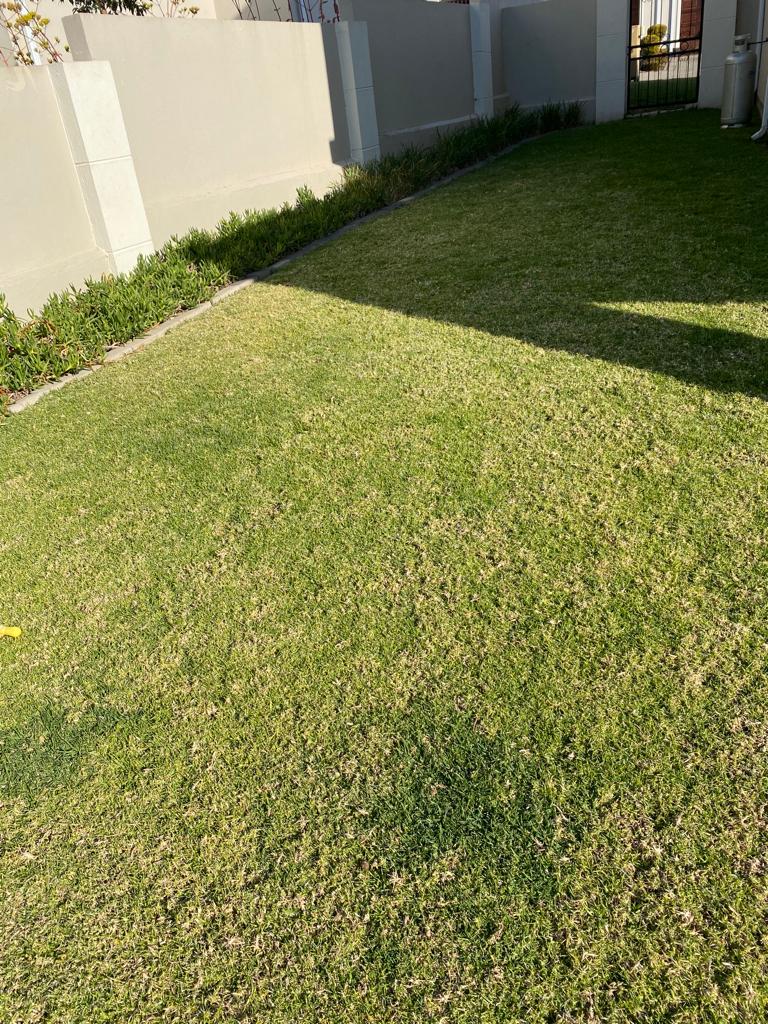 To Let 3 Bedroom Property for Rent in Noordwyk Gauteng