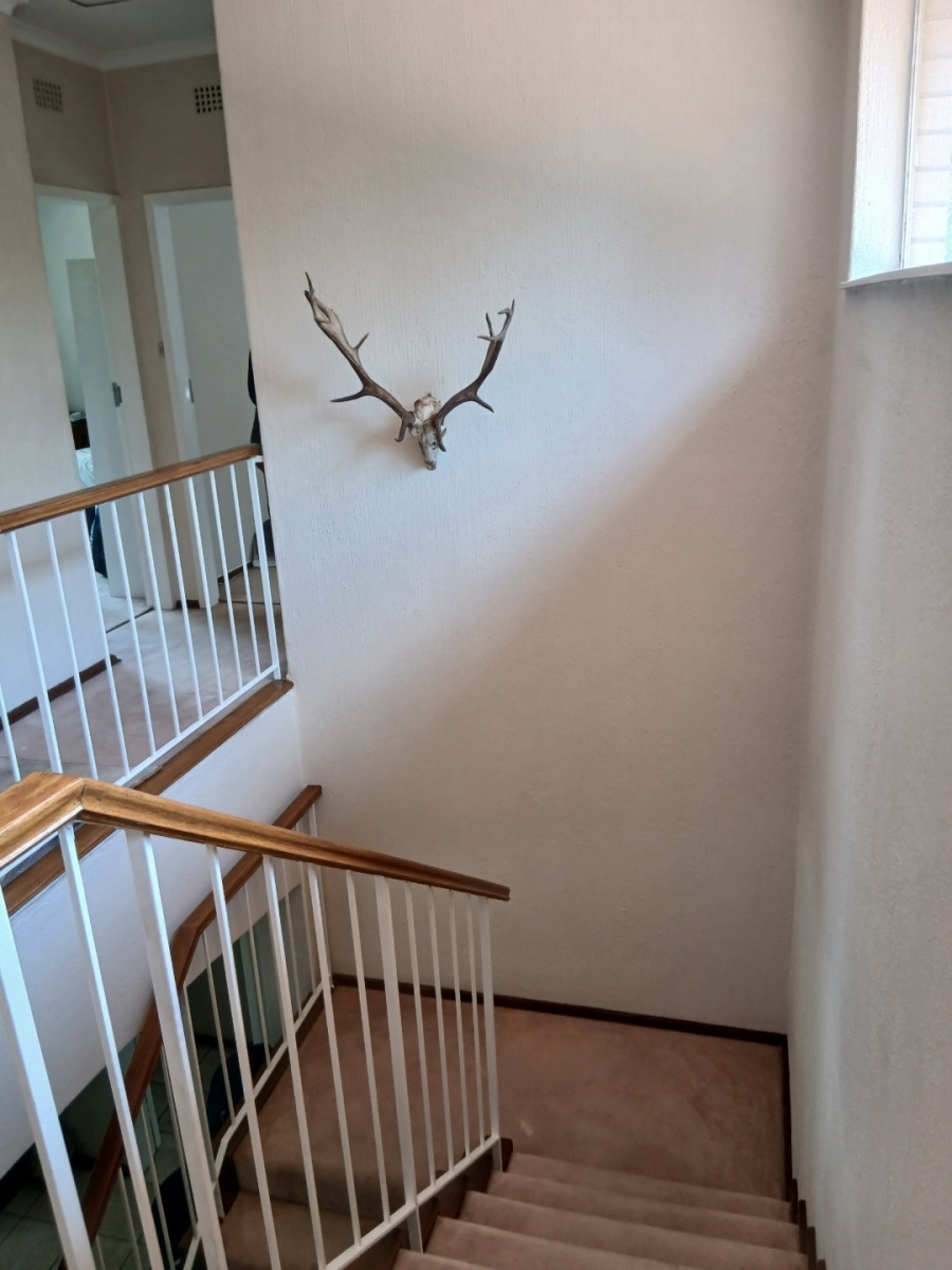To Let 3 Bedroom Property for Rent in Illovo Gauteng